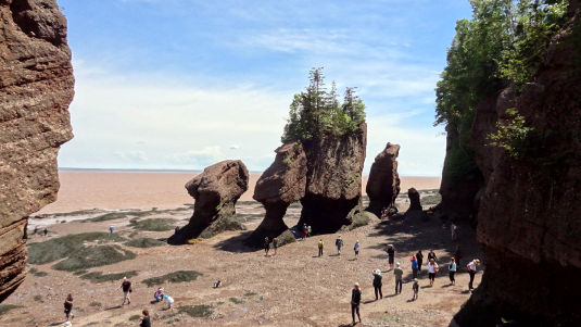 Photos à marée basse à Hoppewell Rocks